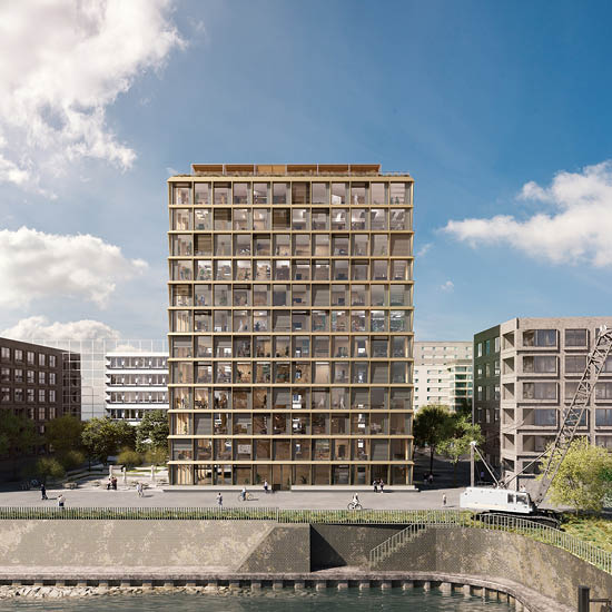 Bild Timber Peak