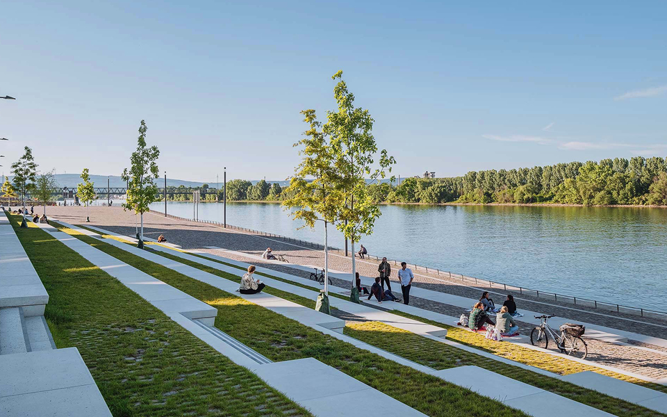 Zollhafen Mainz mit Bäumen und Sitzgelegenheiten